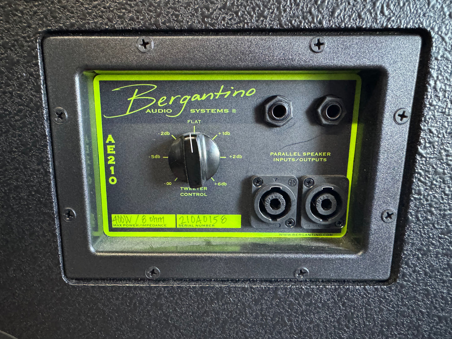 Bergantino AE210 Bass Speaker Cabinet | 400w 8Ω