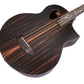 Michael Kelly Dragonfly Forte 4-String Acoustic Bass