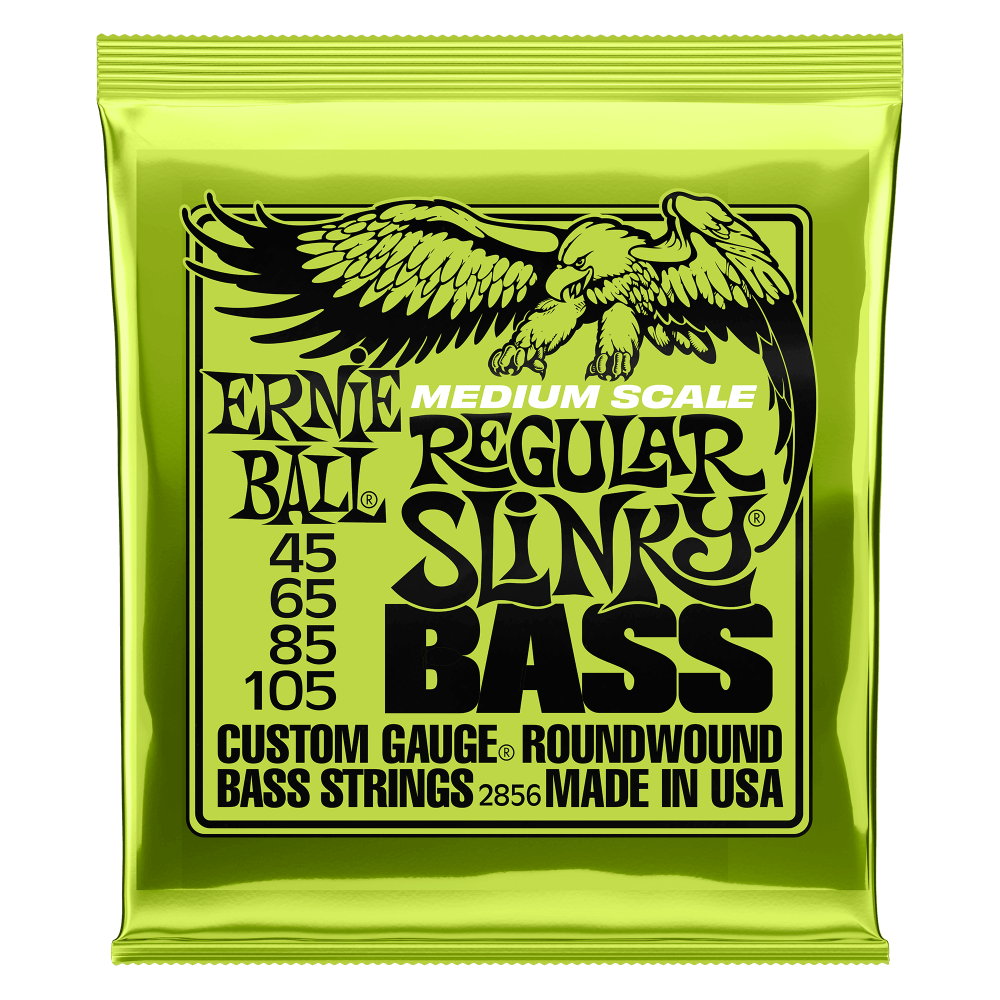 Ernie ball 2024 nickel strings