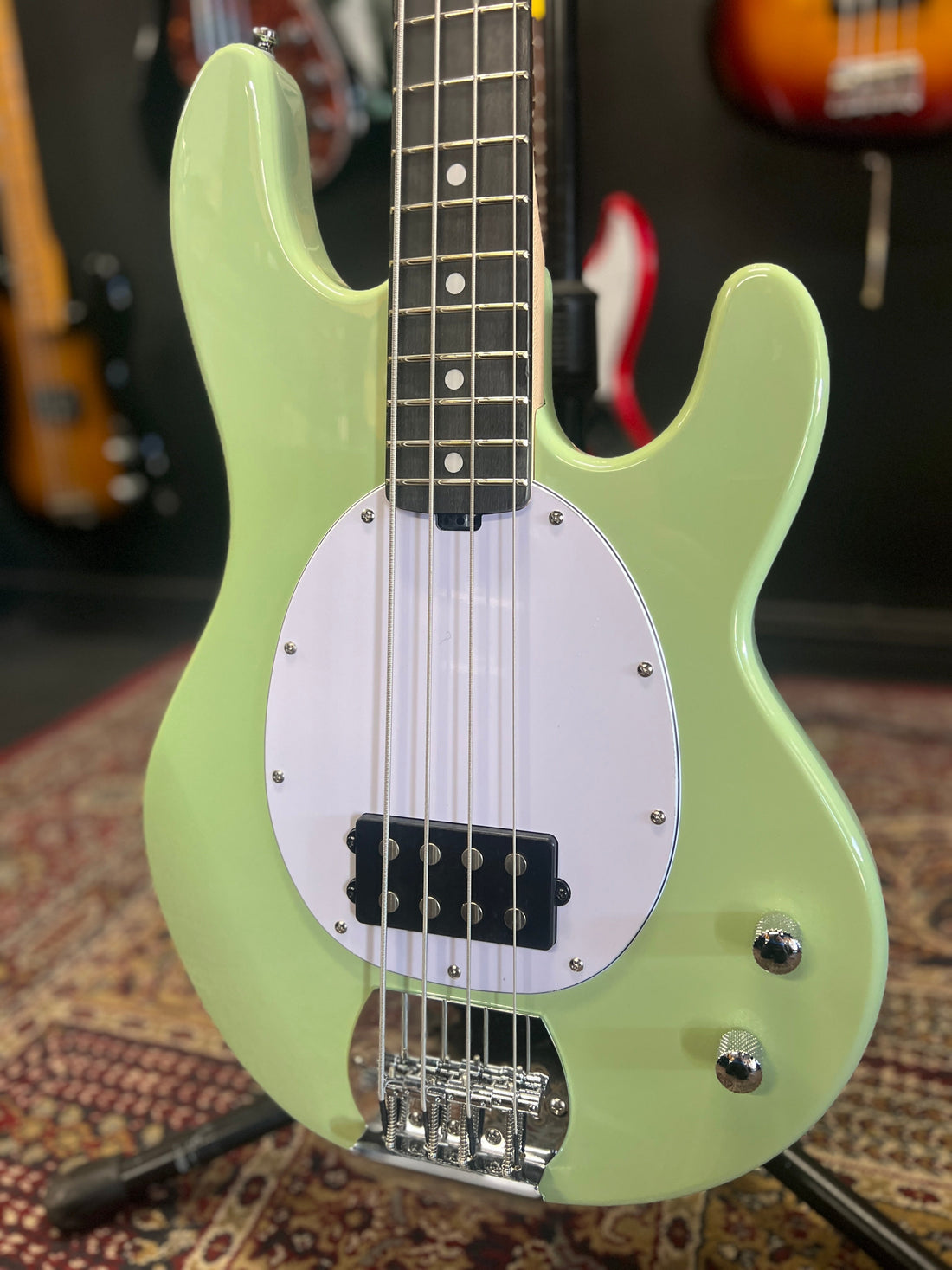 Intro Series StingRay Bass: A Proper Welcome to the StingRay World