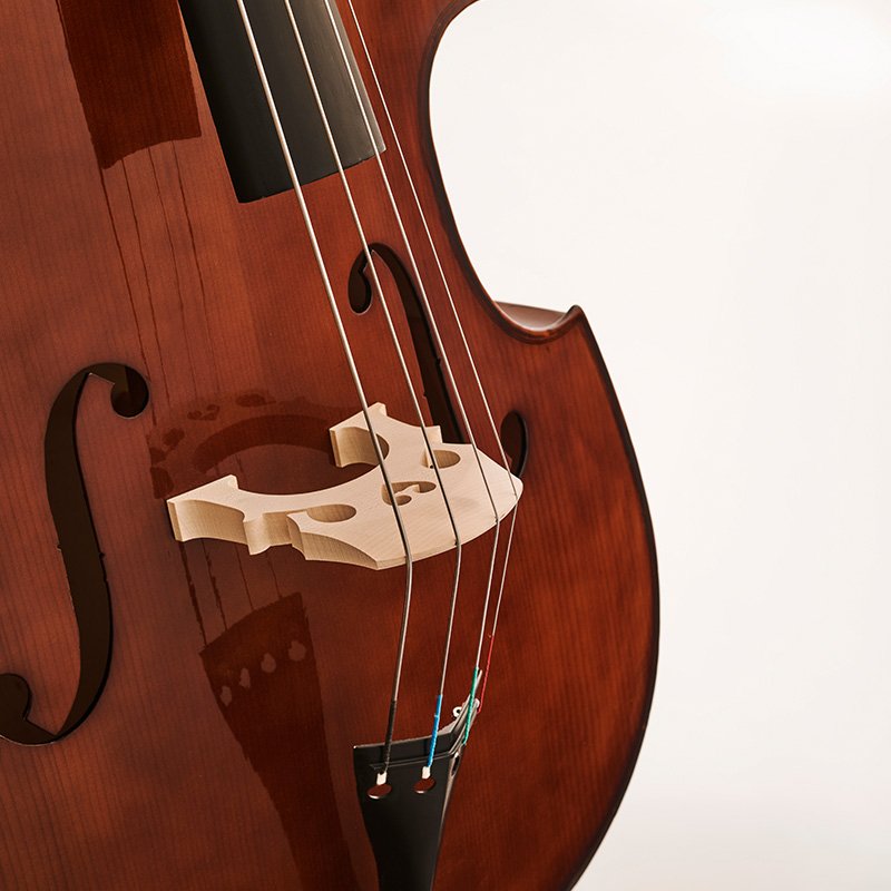 Stentor S1963 Student II 3/4 Size Double Bass Outfit |  Antique Chestnut