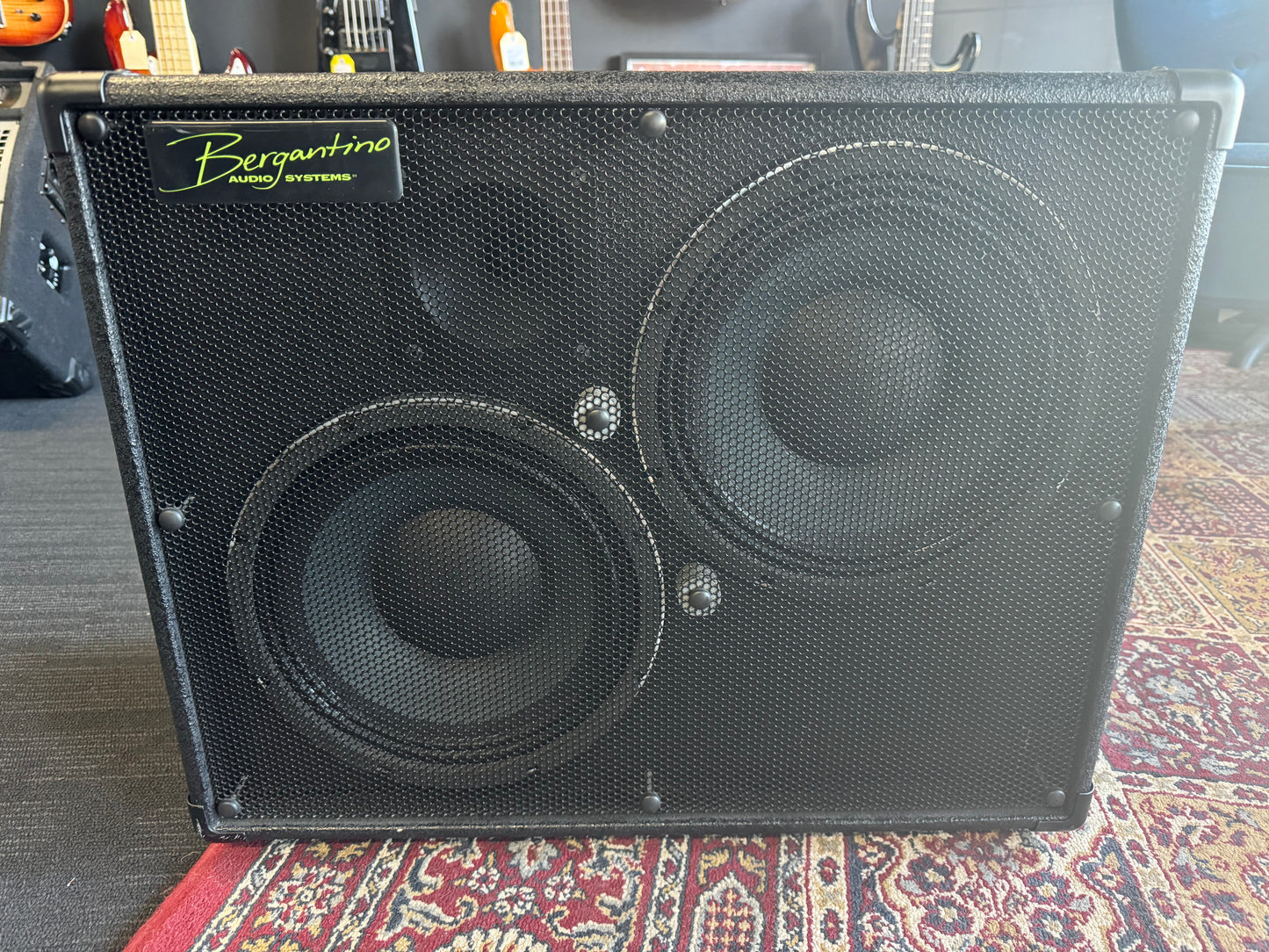 Bergantino AE210 Bass Speaker Cabinet | 400w 8Ω