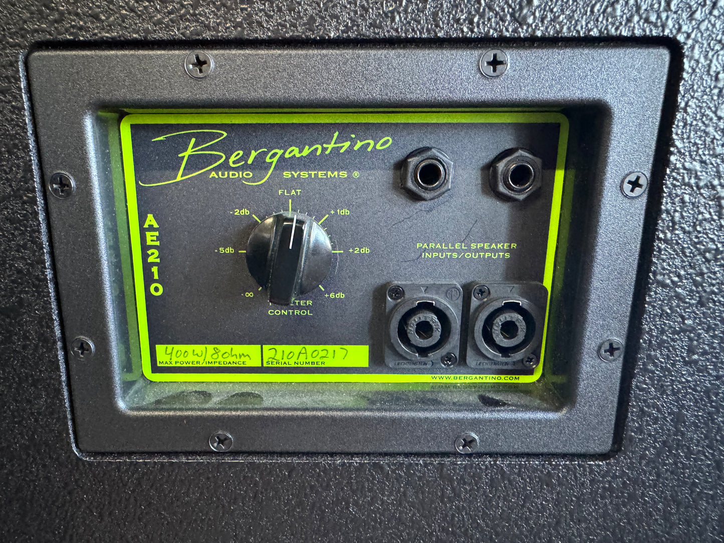 Bergantino AE210 Bass Speaker Cabinet | 400w 8Ω