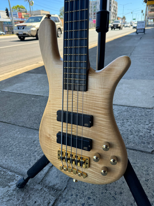 Warwick LX Streamer 5-String Electric Basss | 2001