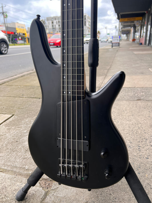 Ibanez GWB35 Gary Willis Signature Fretless 5-String