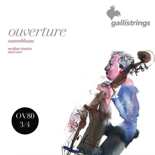 Galli OV80 Ouverture 3/4 Double Bass String Set