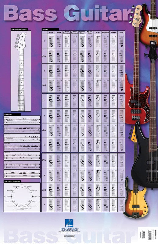 Bass Guitar Poster 22 X 34